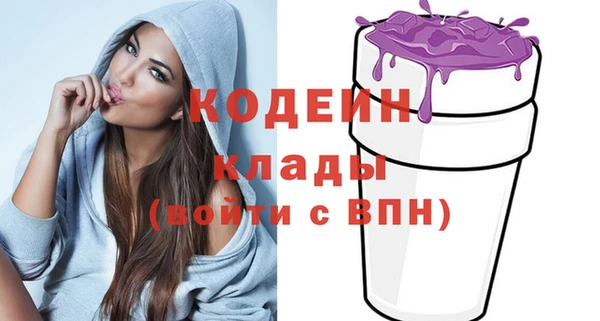 хмурый Лагань