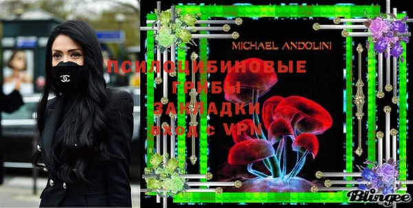 хмурый Лагань