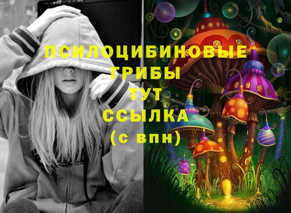 спиды Ладушкин
