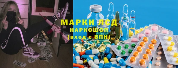 хмурый Лагань