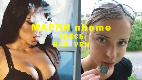хмурый Лагань