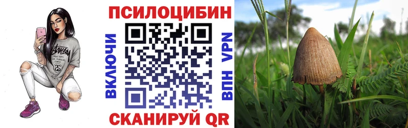 Галлюциногенные грибы мицелий  Купить где  Покровск 